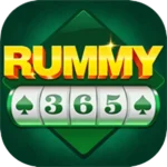Rummy 365 Apk